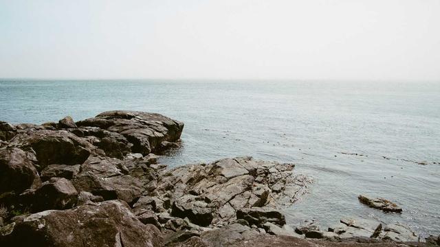 Elven Princess Story