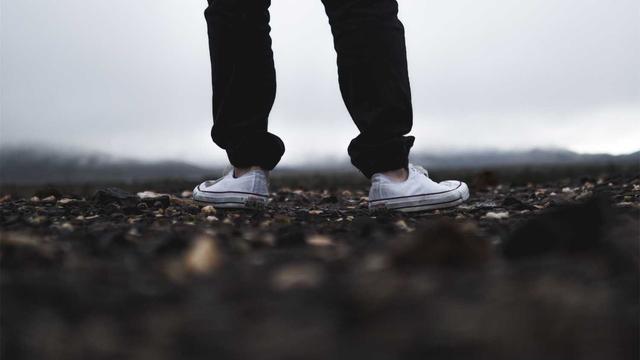 Cat Girl Chronicles Vol. 2